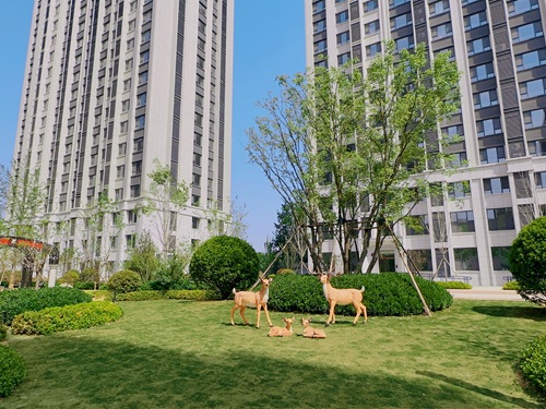 泰和東郡四期西區(qū)室外景觀(guān)綠化工程